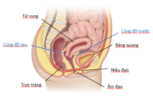 Người phụ nữ nguy kịch, phải thở máy sau khi quan hệ tình dục - Ảnh 1.