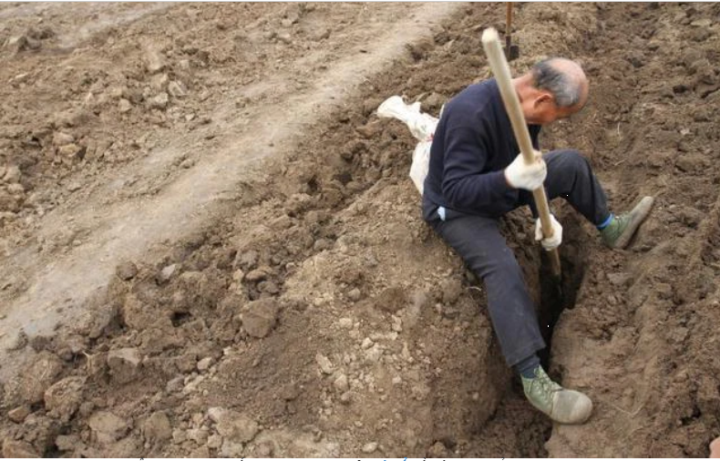 Trộm đồ trong mộ cổ, lão nông dân bất ngờ gặp 'tai họa' lớn xảy ra sau vài năm