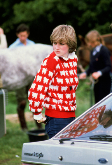 Áo len của cố công nương Diana được mang bán đấu giá - Ảnh 2.