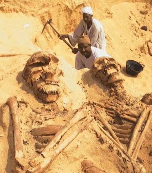 Bí ẩn về bộ xương người khổng lồ dài 10 mét được khai quật vào năm 1976