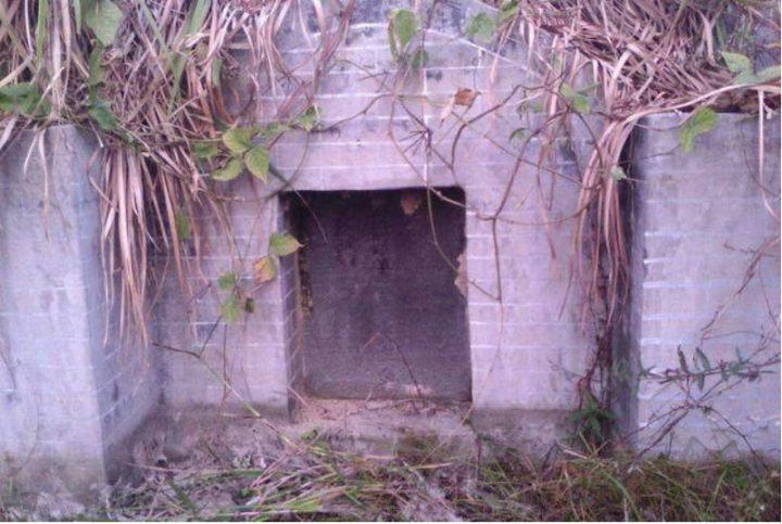 Khai quật ngôi mộ cổ, bất ngờ tìm thấy ‘quái thú’ còn sống bên trong