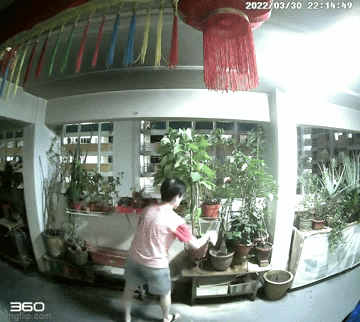 Thấy cây cảnh cứ chết dần chết mòn, người đàn ông sinh nghi đặt máy quay rồi sốc nặng trước kết quả - Ảnh 3.
