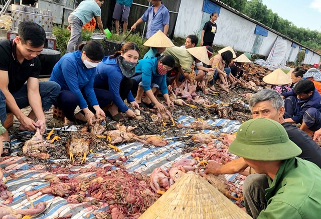 Người dân chung tay giải cứu 8.000 con gà chết ngạt - Ảnh 2.