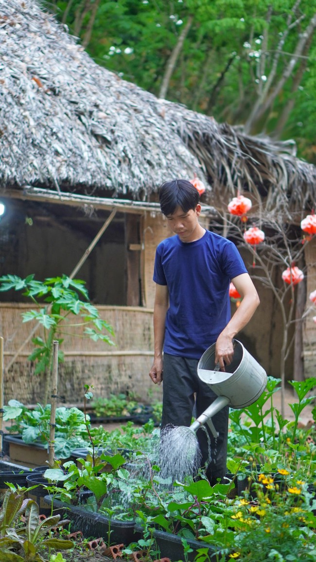 Chàng trai bỏ phố vào rừng, trồng vườn cây đủ màu sắc thu trái trĩu tay - Ảnh 2.