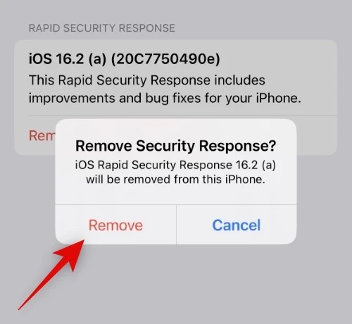 Apple xác nhận bản cập nhật iOS khiến iPhone không thể truy cập Facebook, Instagram, Zoom: Đây là cách để gỡ bỏ - Ảnh 3. Apple xác nhận bản cập nhật iOS khiến iPhone không thể truy cập Facebook, Instagram, Zoom: Đây là cách để gỡ bỏ - Ảnh 3.