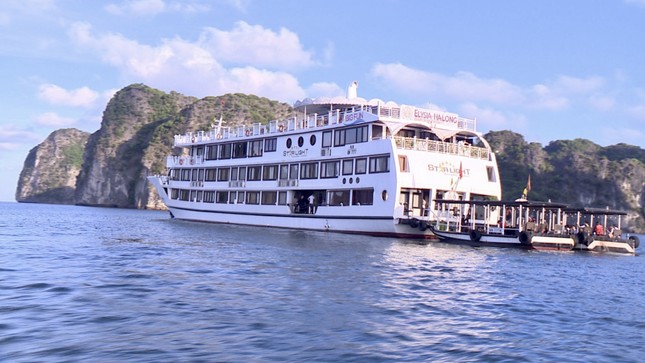 Phát hiện tàu du lịch 5 sao cho khách tắm chui trên vịnh Hạ Long - Ảnh 2.