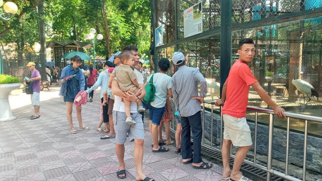 Vườn thú Hà Nội thu hút nhiều du khách tham quan dịp nghỉ hè - Ảnh 3.