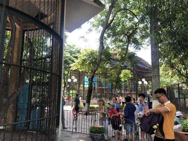 Vườn thú Hà Nội thu hút nhiều du khách tham quan dịp nghỉ hè - Ảnh 2.