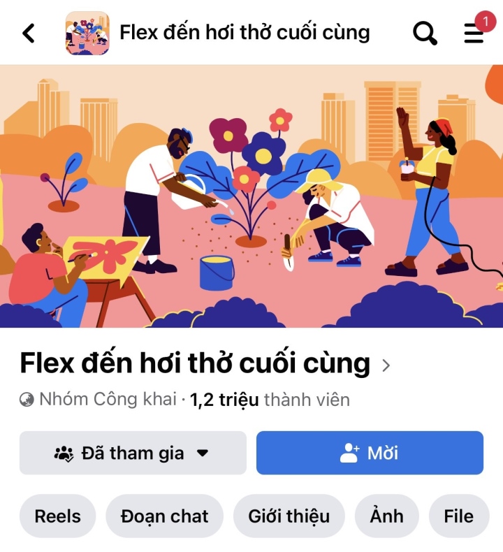 Vì sao trào lưu Flex lại khiến dân mạng phát cuồng? - Ảnh 1.