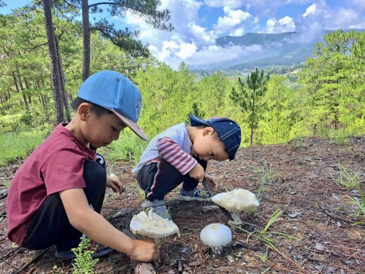 Ngôi nhà đẹp như cổ tích trên đồi ở Lâm Đồng khiến ai cũng muốn bỏ phố về quê - Ảnh 5.