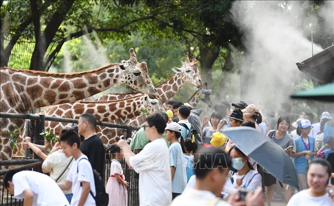 Nóng thiêu đốt và mưa kỷ lục, châu Á 'quay cuồng' vì khủng hoảng khí hậu