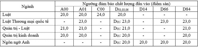 Chênh lệch lớn về điểm sàn giữa các ngành, khu vực đào tạo trường luật, kinh tế, quốc tế - Ảnh 2.