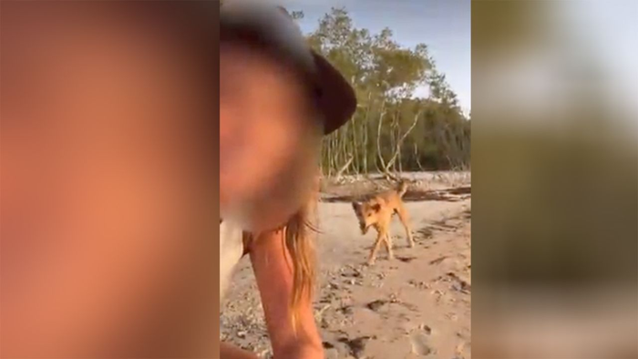 Chụp ảnh tự sướng với chó trên đảo, 2 nữ du khách phải nộp phạt hơn 70 triệu đồng
