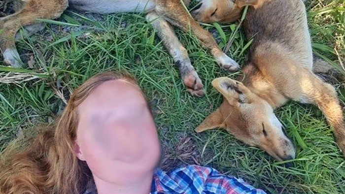Chụp selfie với chó trên đảo, 2 nữ du khách phải nộp phạt hơn 70 triệu đồng
