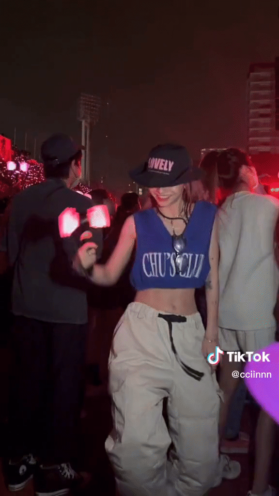 Cô gái được gọi là Lisa Việt Nam thể hiện màn nhảy cùng idol cực cháy ngay trong concert BLACKPINK - Ảnh 5.