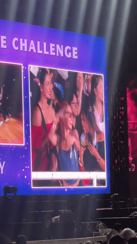 Cô gái được gọi là Lisa Việt Nam thể hiện màn nhảy cùng idol cực cháy ngay trong concert BLACKPINK - Ảnh 3.