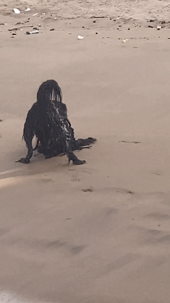 Khoảnh khắc người ngoài hành tinh đen xuất hiện trên bãi biển khiến 27 triệu người xem khiếp sợ - Ảnh 2.