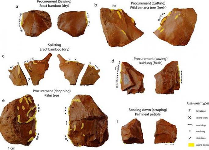Philippines: Phát hiện vật thể lạ 40.000 năm tuổi đảo lộn lịch sử nhân loại