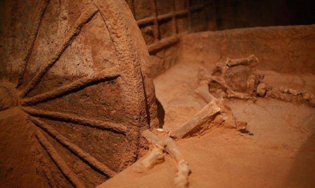 Tìm thấy gói mì sản xuất năm 1994 trong ngôi mộ cổ hơn 2.000 năm, chuyên gia tri hô lập tức gọi cảnh sát