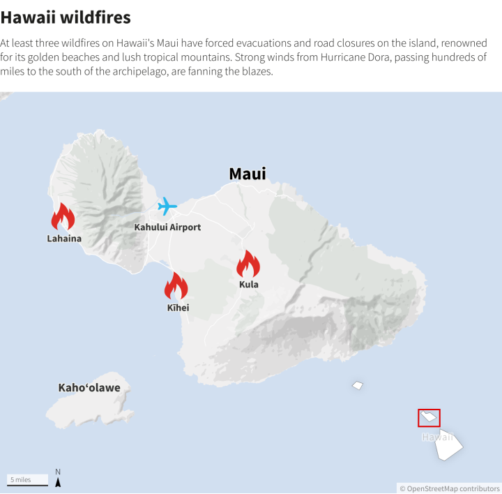 Cháy rừng thiêu rụi thị trấn du lịch Hawaii