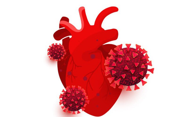 Hàng loạt người từng mắc COVID-19 tại Mỹ gặp vấn đề về tim mạch - Ảnh 1.