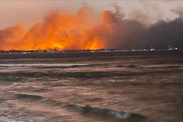 Số người thiệt mạng do cháy rừng ở Hawaii tăng lên 55 và dự kiến sẽ cao hơn - Ảnh 3.