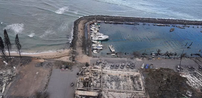 Cảnh tượng khó tin trước và sau thảm họa thiên nhiên tồi tệ nhất lịch sử khiến 67 người thiệt mạng tại Hawaii - Ảnh 9.