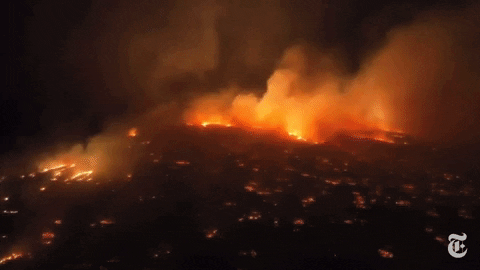 Toàn cảnh vụ cháy rừng ở Hawaii: Thảm họa thiên nhiên tàn phá đảo thiên đường, ít nhất 89 người tử vong thương tâm - Ảnh 1.
