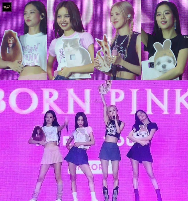 BLACKPINK “quẩy” sung bất chấp cơn mưa nặng hạt tại Mỹ, Jennie gặp sự cố nguy hiểm khiến khán giả đứng tim - Ảnh 7.