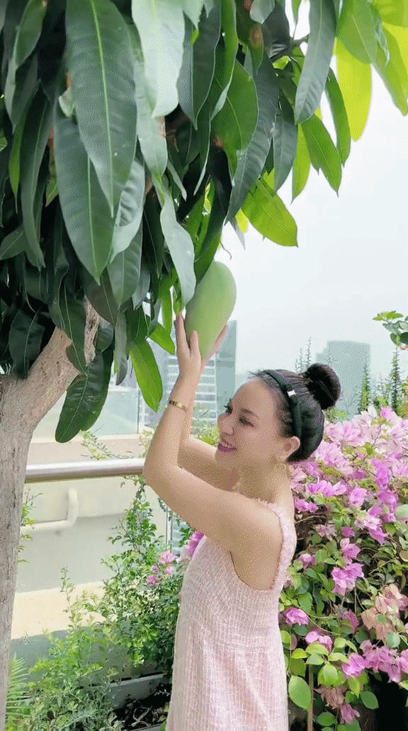 CEO sống trong penthouse 600m2 mát tay làm vườn: Trồng cây sai trĩu quả, chăm hoa đua nở rực rỡ - Ảnh 7.