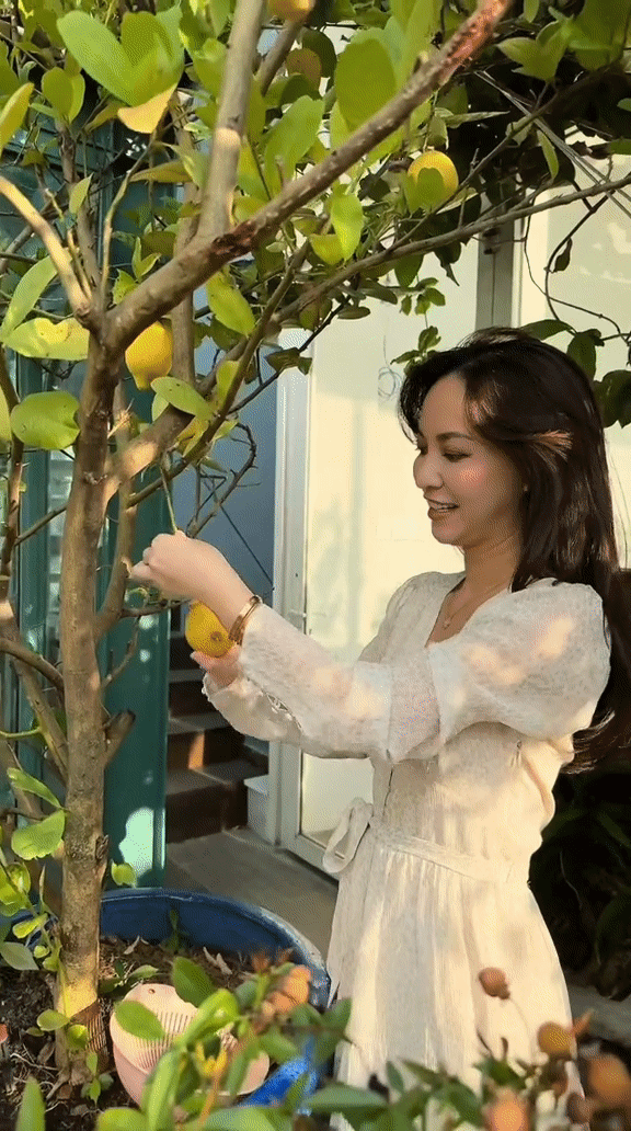 CEO sống trong penthouse 600m2 mát tay làm vườn: Trồng cây sai trĩu quả, chăm hoa đua nở rực rỡ - Ảnh 4.