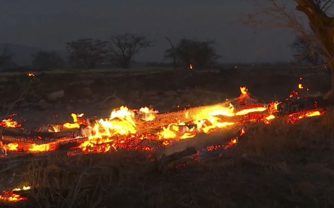 Ch&aacute;y rừng ở Hawaii: Lực lượng chức năng nỗ lực khống chế đ&aacute;m ch&aacute;y, t&igrave;m kiếm người mất t&iacute;ch - Ảnh 1.