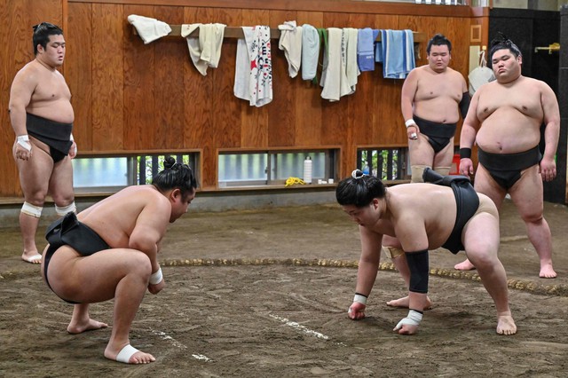Cách Nhật Bản thu hút du khách khám phá sumo: Kinh nghiệm quý phát triển du lịch – thể thao song hành cho Việt Nam - Ảnh 2.