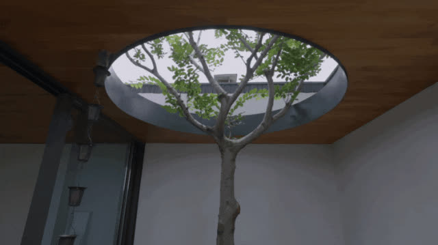 Chi hơn 20 tỷ đồng chỉ để xây sân vườn trong ngôi nhà 450m2: Tưởng đắt mà thành quả gây bất ngờ, quanh năm không cần bật điều hòa - Ảnh 3. Chi hơn 20 tỷ đồng chỉ để xây sân vườn trong ngôi nhà 450m2: Tưởng đắt mà thành quả gây bất ngờ, quanh năm không cần bật điều hòa - Ảnh 3.