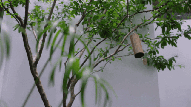 Chi hơn 20 tỷ đồng chỉ để xây sân vườn trong ngôi nhà 450m2: Tưởng đắt mà thành quả gây bất ngờ, quanh năm không cần bật điều hòa - Ảnh 2. Chi hơn 20 tỷ đồng chỉ để xây sân vườn trong ngôi nhà 450m2: Tưởng đắt mà thành quả gây bất ngờ, quanh năm không cần bật điều hòa - Ảnh 2.