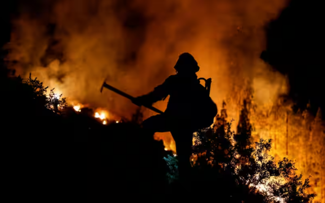 Cháy rừng ngoài tầm kiểm soát lan rộng khắp đảo Tenerife của Tây Ban Nha
