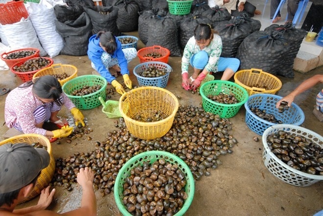 Trước giun đất, thương lái Trung Quốc thu gom kỳ lạ, tạo cơn sốt ảo ở Việt Nam thế nào? - Ảnh 3.