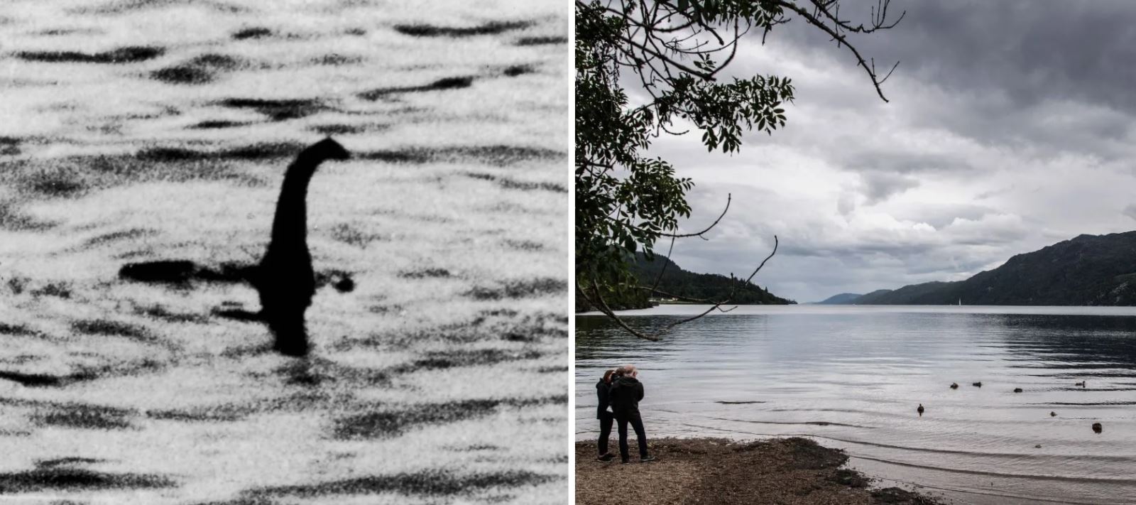 Hồ Loch Ness chuẩn bị cho cuộc săn quái vật lớn nhất nửa thế kỷ