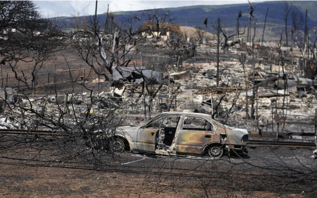 Nhiều khó khăn trong việc xác định danh tính nạn nhân cháy rừng ở Hawaii - Ảnh 1.