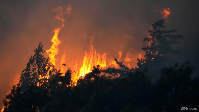 Khi cháy rừng gia tăng, kỷ nguyên ô nhiễm không khí mới