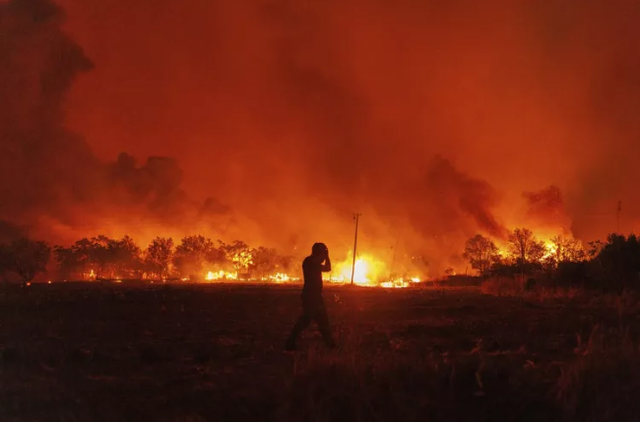 Hy Lạp phát hiện 18 thi thể nạn nhân tử vong do cháy rừng - Ảnh 2.