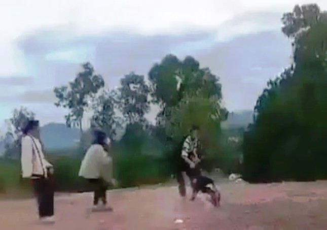 Phụ huynh k&ecirc;u cứu v&igrave; con g&aacute;i bị nh&oacute;m học sinh h&agrave;nh hung - Ảnh 2.