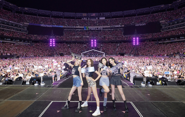 BLACKPINK tổ chức 2 đêm concert encore Hàn Quốc tại SVĐ có sức chứa chỉ bằng một nửa Mỹ Đình - Ảnh 3.