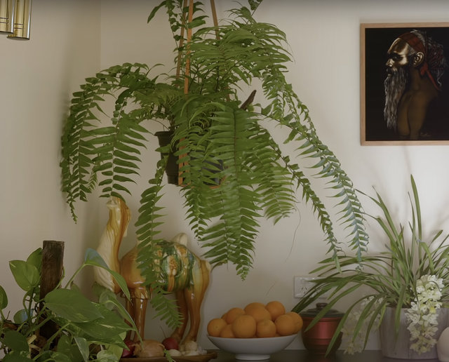 Đam mê thiết kế nội thất, chàng trai cải tạo nhà 49m2 đẹp mê - Ảnh 6. Đam mê thiết kế nội thất, chàng trai cải tạo nhà 49m2 đẹp mê - Ảnh 6.