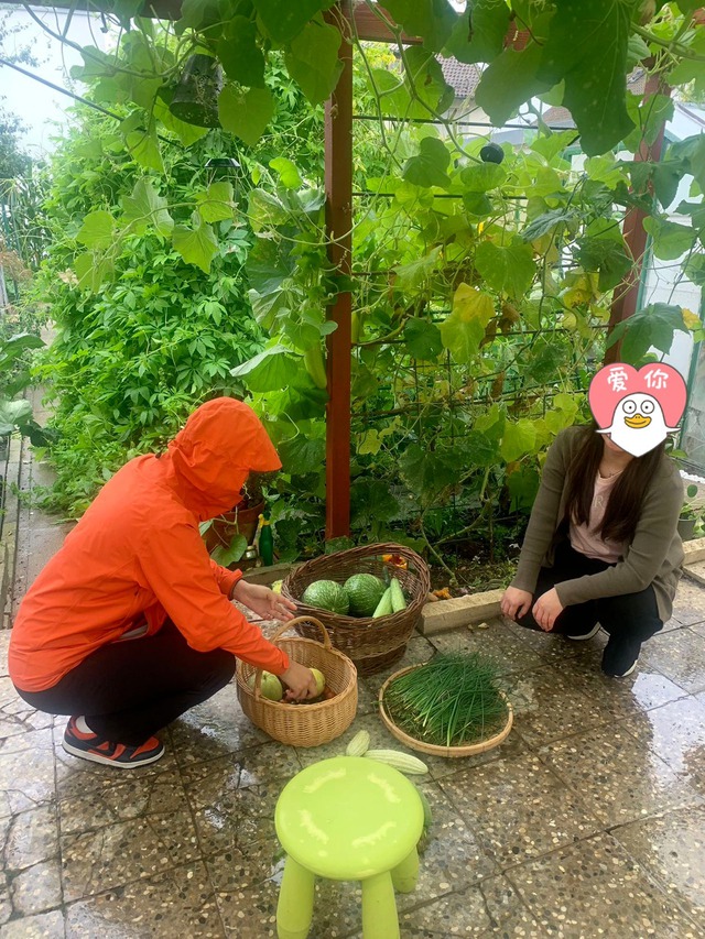 Vườn rau muống cà chua tươi tốt ở Đức, chủ nhân chỉ muốn nghỉ việc để ở nhà trồng trọt - Ảnh 2.