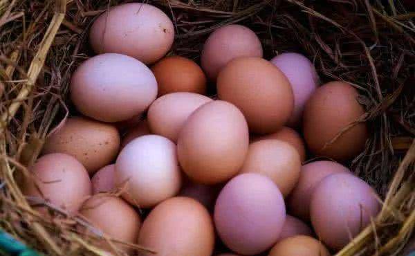 Từ Hi Thái hậu mỗi ngày ăn 20 quả trứng nhưng đầu bếp phải chuẩn bị 500 quả, vì sao?