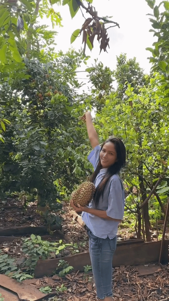 Khu vườn nhà HHen Niê hút gần 10 triệu lượt xem: Rau xanh trái ngọt sum suê, netizen tấm tắc “đỡ tốn tiền đi chợ” - Ảnh 7.