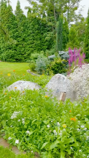 Vườn nhà bố mẹ chồng Hồ Ngọc Hà ở Thụy Điển: Cây ăn trái trĩu cành, Leon - Lisa tha hồ hái quả - Ảnh 2.