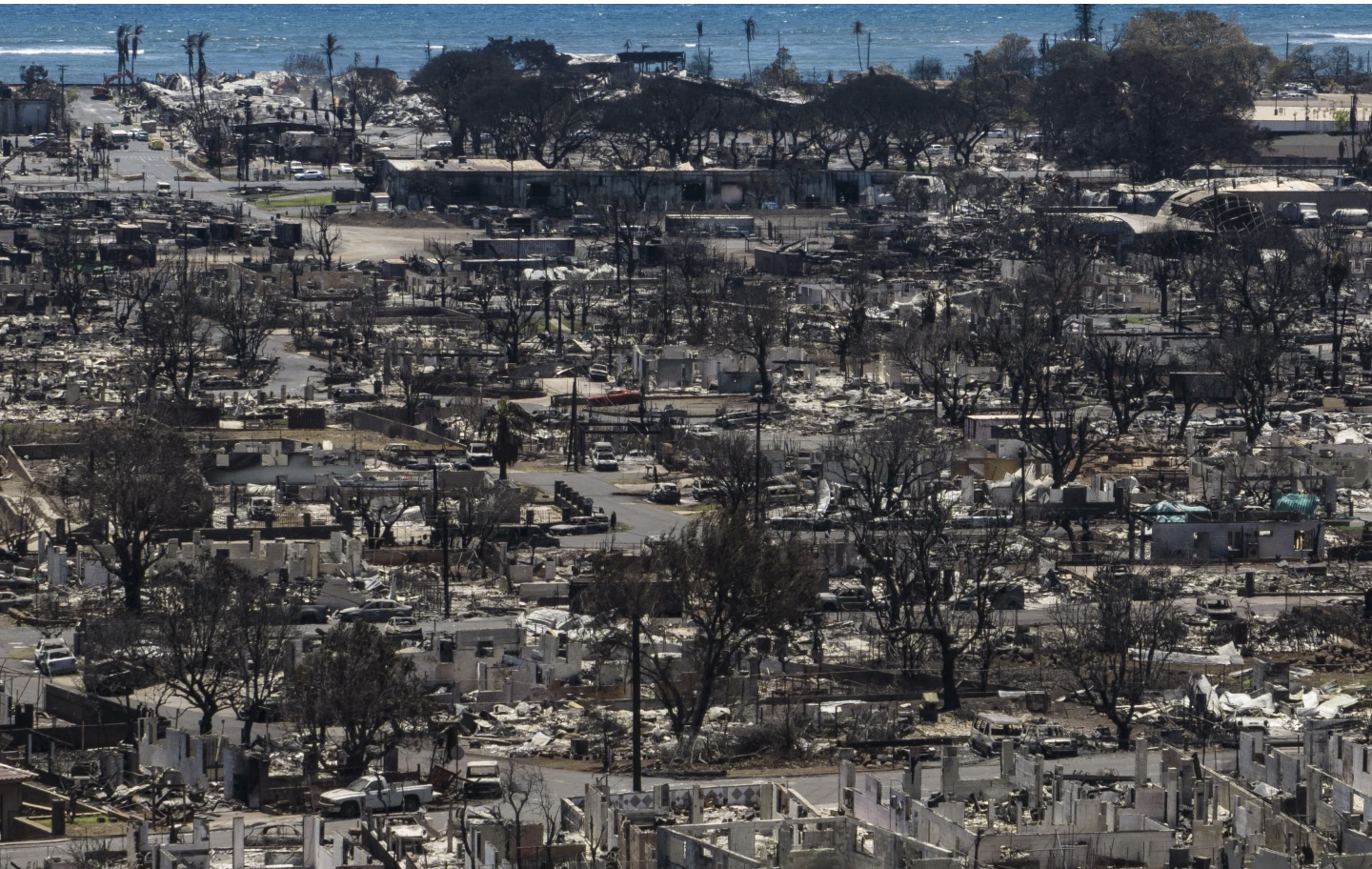 Hãng tin AP: Đã xác định được nguyên nhân có thể gây ra cháy rừng ở Hawaii