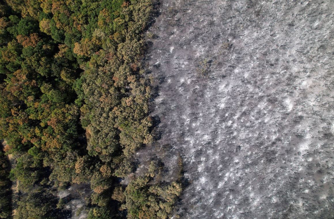 Cháy rừng ở Hy Lạp thiêu rụi diện tích lớn hơn thành phố New York